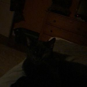 Meet your Posher, Heide